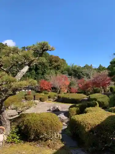 大池寺の庭園