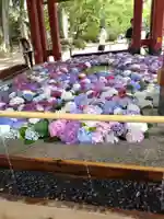 太宰府天満宮の手水舎