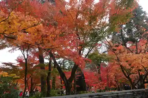 禅林寺（永観堂）(京都府)