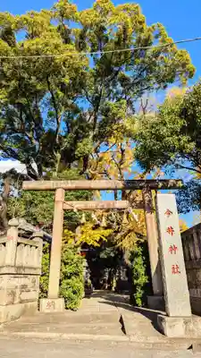 今井神社の鳥居