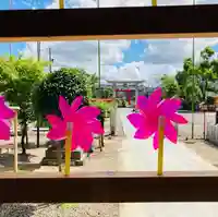 總社 和田八幡宮の七五三参