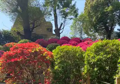 根津神社(東京都)