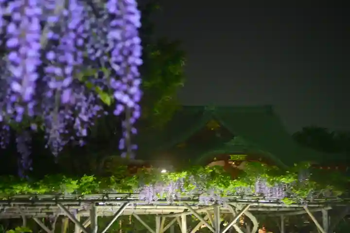 亀戸天神社(東京都)
