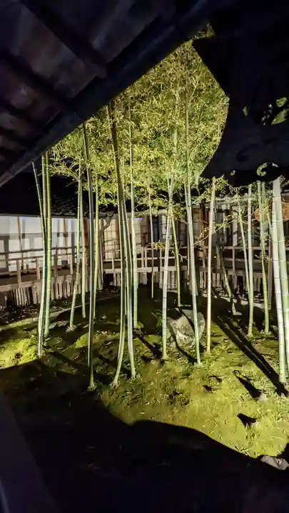 妙顯寺(妙顕寺)(京都府)