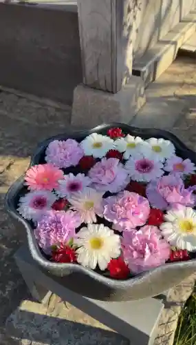 法輪寺(東京都)