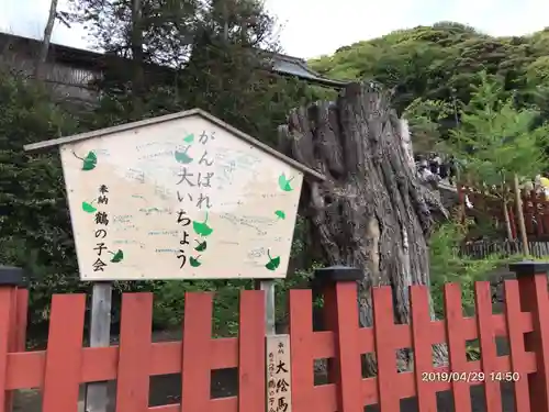 鶴岡八幡宮の自然