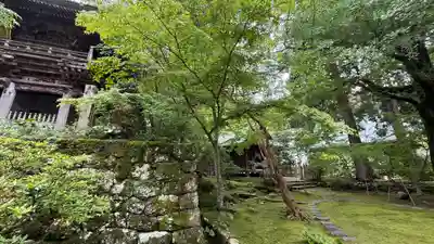 竹林寺(高知県)