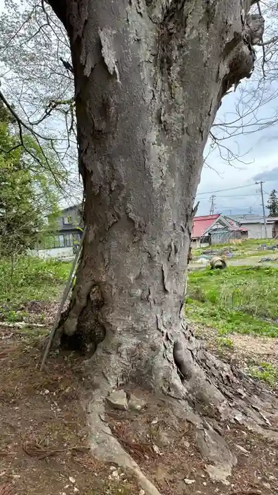 金松寺(山形県)