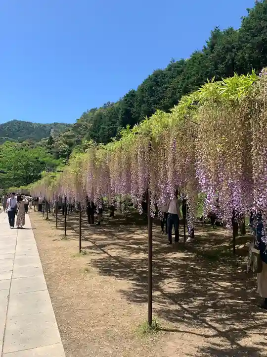 天台宗 五大山 白毫寺(兵庫県)