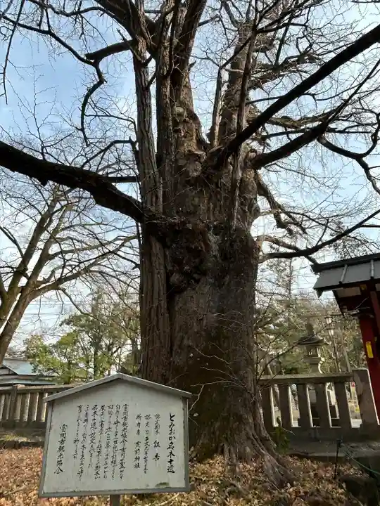 一之宮貫前神社(群馬県)
