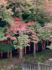 有子山稲荷神社(兵庫県)