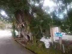 阿志都彌神社・行過天満宮(滋賀県)