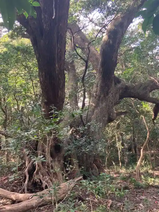 沼島八幡神社(兵庫県)