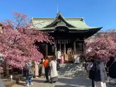 桜神宮(東京都)