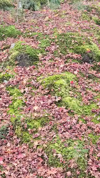 天龍寺(京都府)