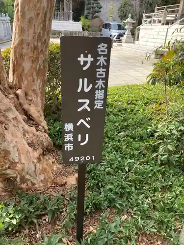 定光寺(神奈川県)