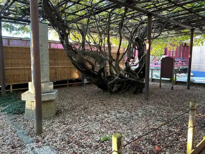 笠間稲荷神社(茨城県)