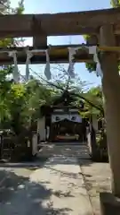 稲毛神社の鳥居