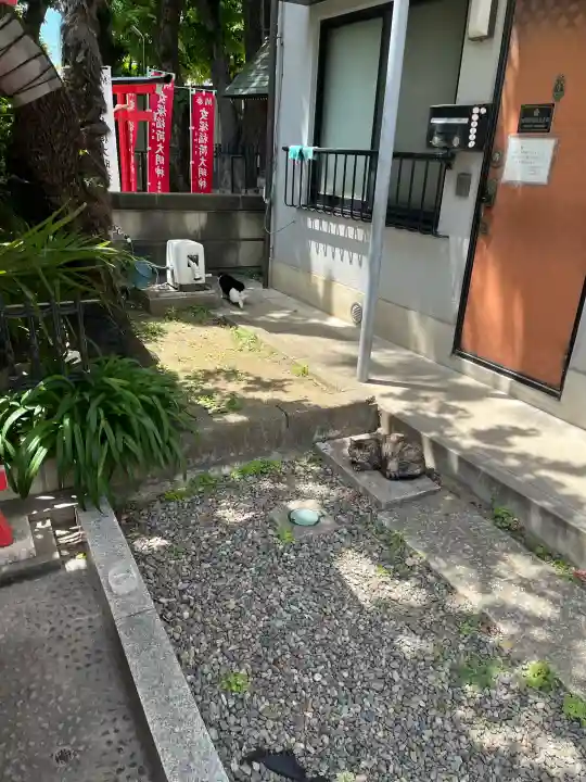 女塚神社の{uncategorized: "未分類", other: "その他", undefined: "問題あり", building: "その他建物", grave: "お墓", sacred_gate: "鳥居", guardian: "狛犬", statue: "像", buddha: "仏像", history: "歴史", nature: "自然", garden: "庭園", animal: "動物", pagoda: "塔", temizu: "手水舎", mountain_gate: "山門・神門", sanctuary: "本殿・本堂", subordinate: "末社・摂社", art: "芸術", scenery: "景色", jizo: "地蔵", ema: "絵馬", goshuin: "御朱印", omikuji: "おみくじ", items: "授与品その他", amulet: "お守り", goshuincho: "御朱印帳", eats: "食事", festival: "お祭り", votive_dance: "神楽", shichigosan: "七五三参", wedding: "結婚式", experience: "体験その他", initially: "初詣", around: "周辺", anti_infection: "感染症対策"}