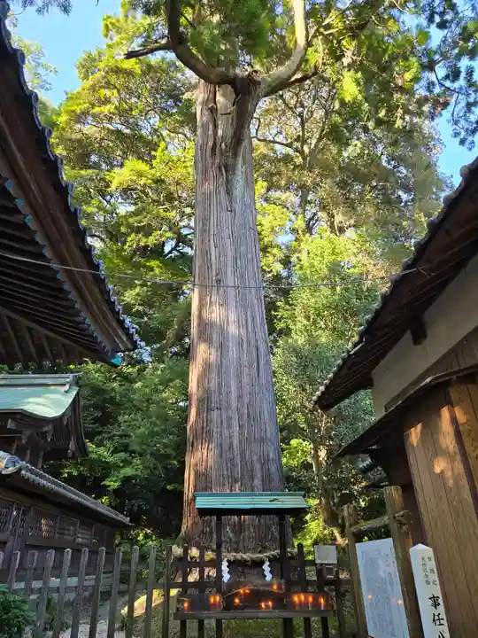 事任八幡宮(静岡県)