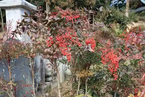 善應寺の庭園