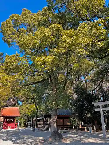 知立神社(愛知県)