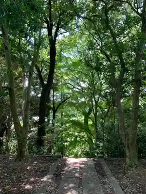天神山神社(千葉県)