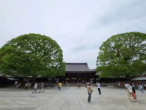 明治神宮(東京都)