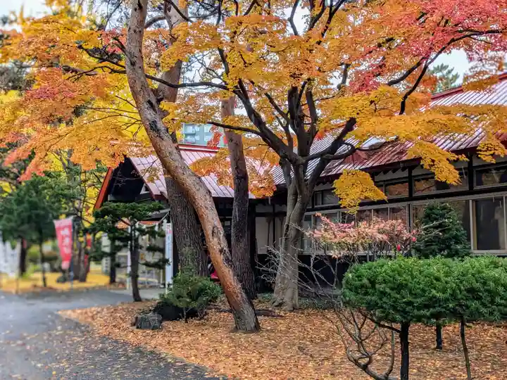 札幌護國神社の自然