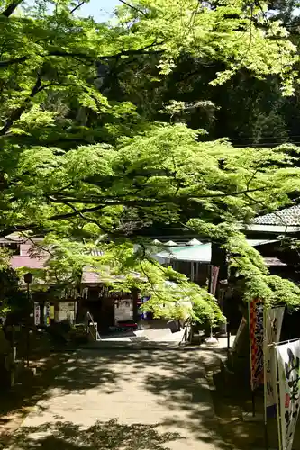 大窪寺(香川県)