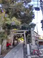 中野氷川神社の鳥居