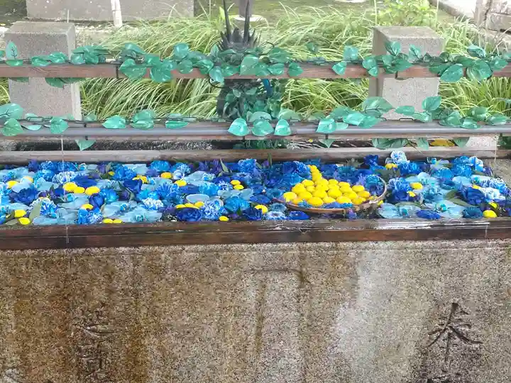 津島神社の手水舎