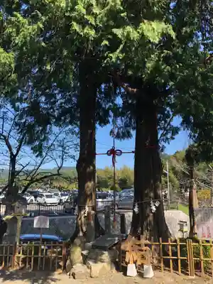 武雄神社(佐賀県)