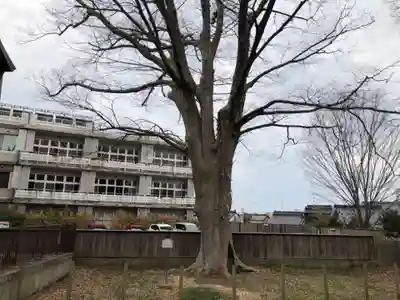 久保市乙剣宮(石川県)