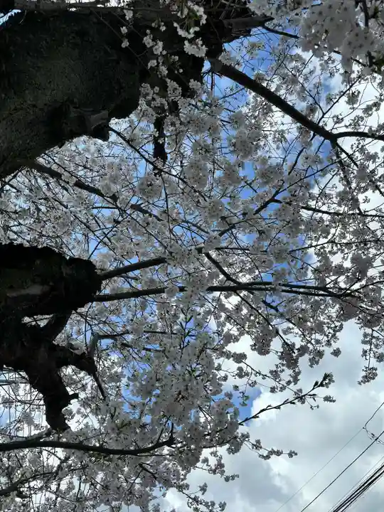 東勝寺宗吾霊堂(千葉県)