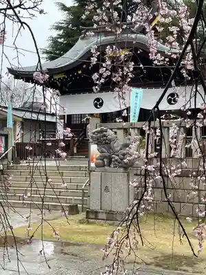 尾久八幡神社(東京都)