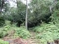 胡宮神社(敏満寺史跡)の自然