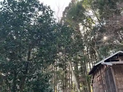 大宮温泉神社(栃木県)