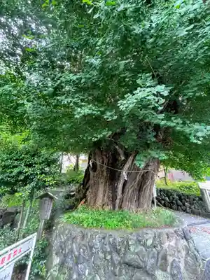 五所神社(神奈川県)