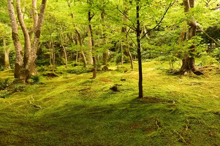祇王寺(京都府)