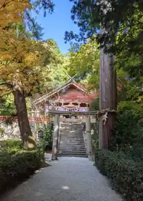 高鴨神社(奈良県)