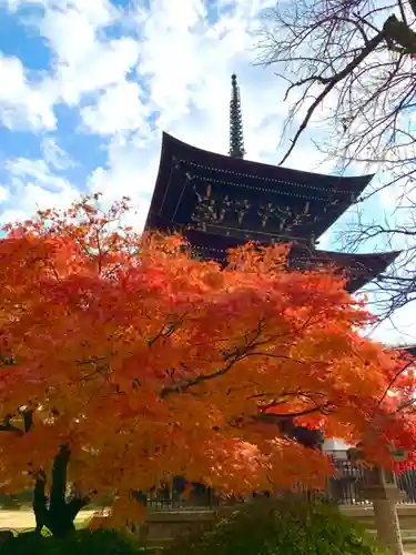 飛騨国分寺のその他建物