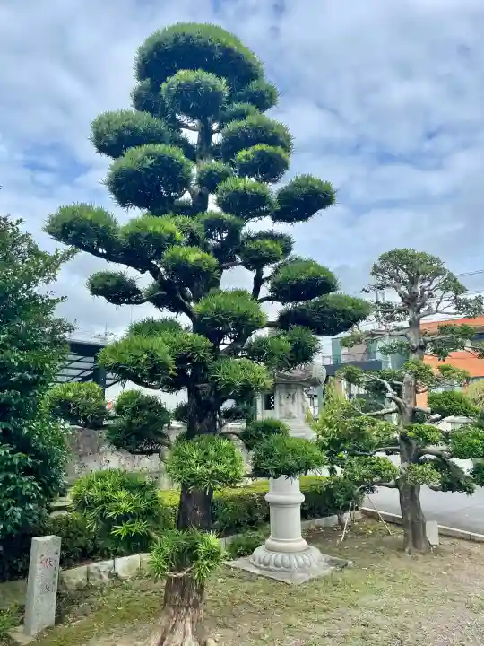 健田須賀神社(茨城県)
