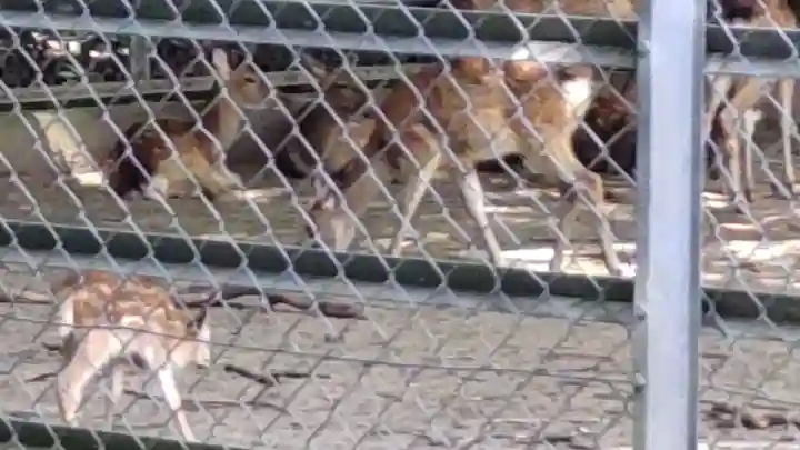 鹿島神宮(茨城県)