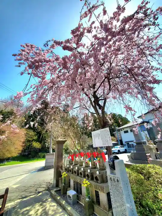 月心院(福島県)