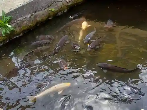 善知鳥神社(青森県)