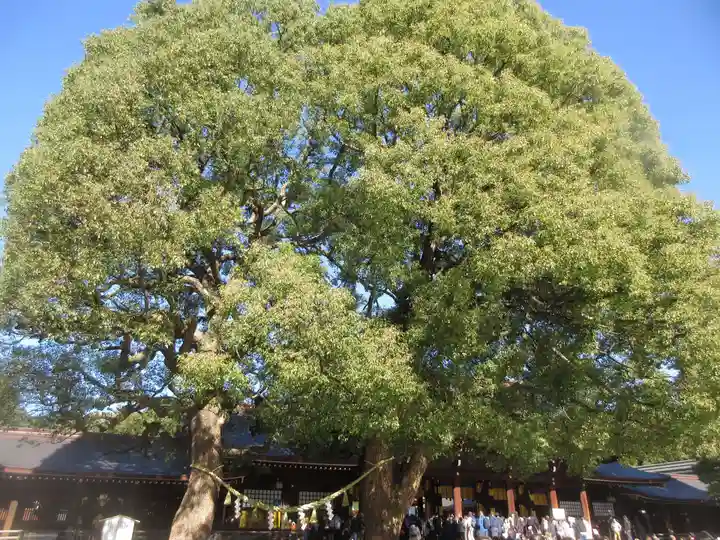 明治神宮(東京都)