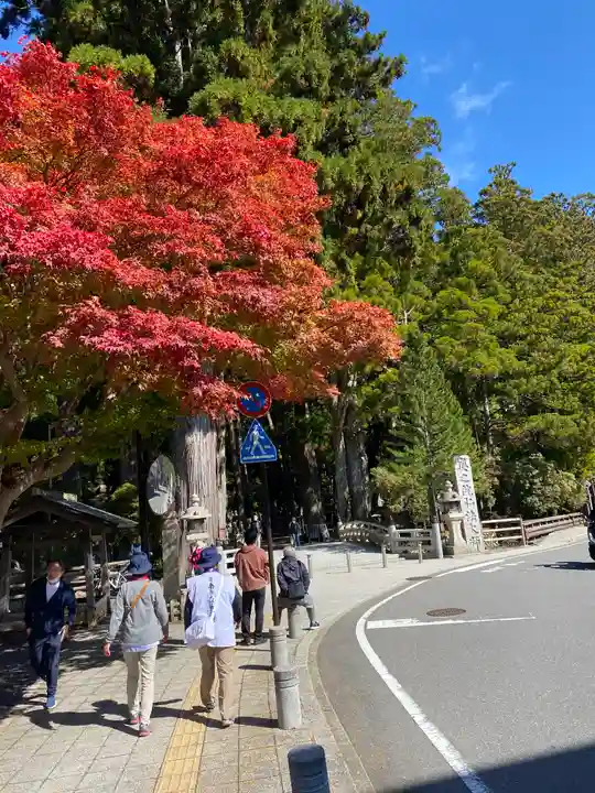 高野山金剛峯寺奥の院(和歌山県)