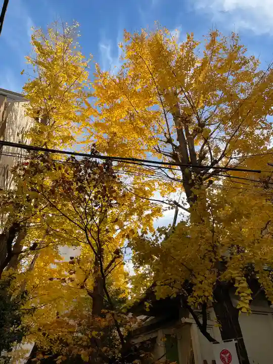 銀杏岡八幡神社(東京都)