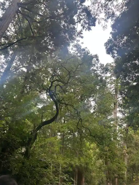 伊勢神宮内宮(皇大神宮)(三重県)